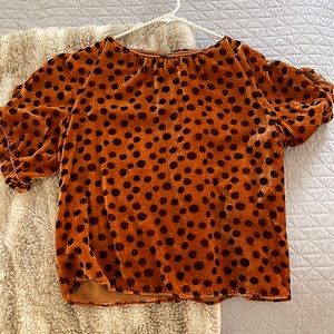 Madewell leopard print velvet top